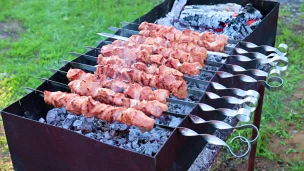 Underbart Saftigt Kött Spett Medan Steker Kebab Grillen — Stockvideo
