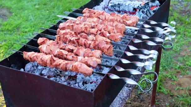 Minunat Carne Suculentă Frigărui Timp Prăjiți Kebab Shish Grătar — Videoclip de stoc
