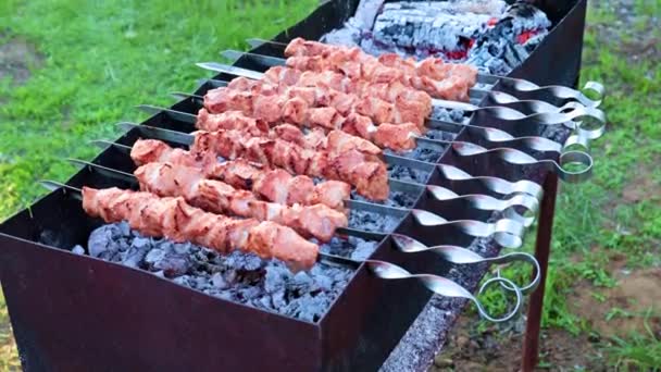 Wonderful Juicy Meat Skewers While Frying Shish Kebab Grill — Stock Video