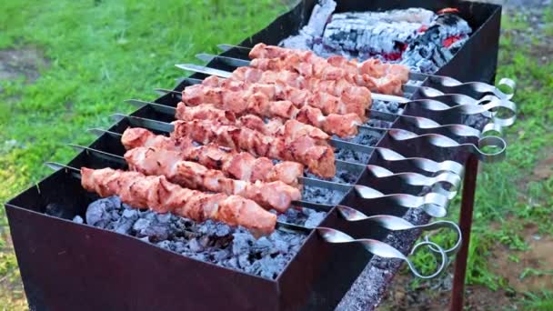 Underbart Saftigt Kött Spett Medan Steker Kebab Grillen — Stockvideo