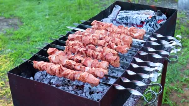 Carne Jugosa Maravillosa Pinchos Mientras Fríe Shish Kebab Parrilla — Vídeos de Stock