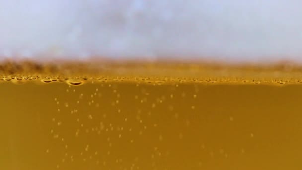 Air Bubbles Light Beer Foam — Stock Video