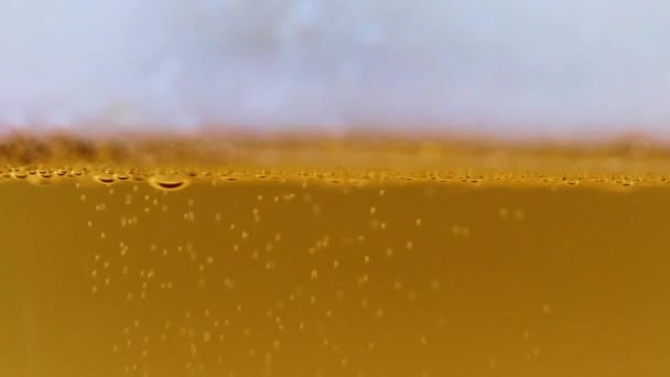Burbujas Aire Espuma Cerveza Ligera — Vídeos de Stock