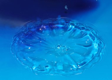 Düşerken bir damla saf saydam su sıvıda desenler oluşturur.