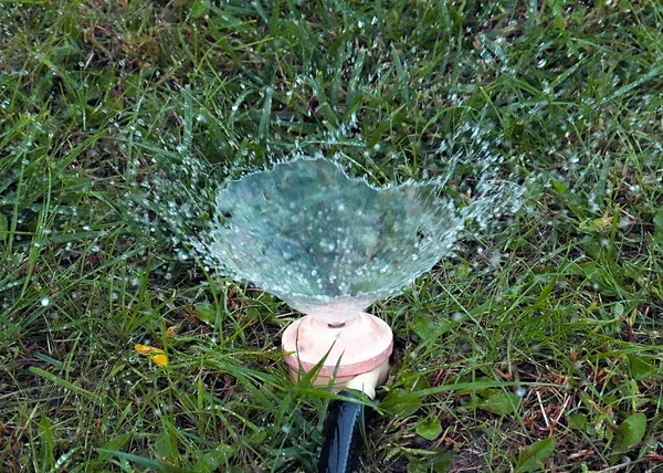 プラスチックの噴霧器で芝生に水をやるときれいな水が流れ — ストック写真