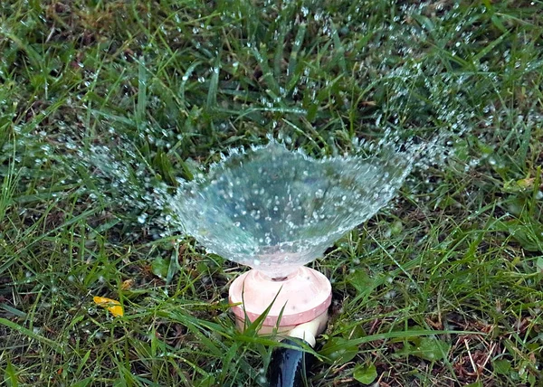 Fluxo Água Limpa Regar Gramado Usando Pulverizador Plástico — Fotografia de Stock