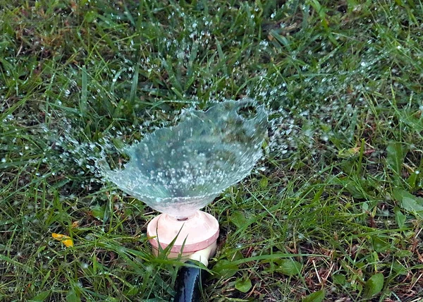 プラスチックの噴霧器で芝生に水をやるときれいな水が流れ — ストック写真