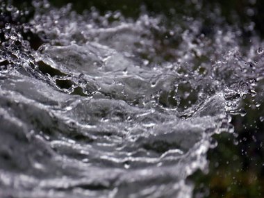 Güzel, berrak su, suladığında yeşil çimlerin arka planında.