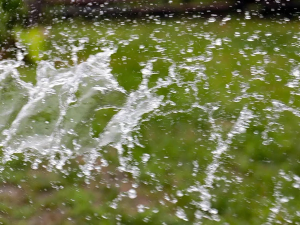 Vacker Klart Vatten Mot Bakgrund Grön Gräsmatta När Det Vattnas — Stockfoto