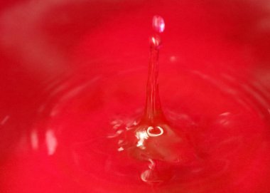 Bir damla kan kırmızı sıvı suyun yüzeyine düşer.