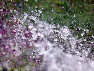 Çimleri sularken güzel, berrak su