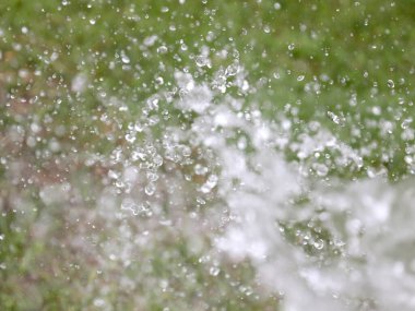 Çimleri sularken güzel, berrak su