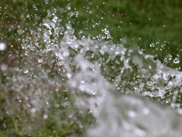 Красива Прозора Вода Поливі Газону Саду — стокове фото