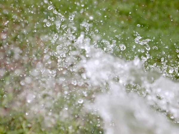 Heerlijk Helder Water Bij Het Besproeien Van Gras Tuin Gazon — Stockfoto