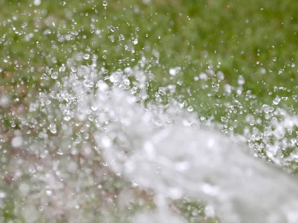 Agua Clara Encantadora Regar Césped Jardín Hierba — Foto de Stock