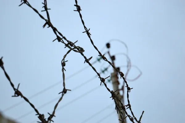 Barbed wire on a background of blue sky — Stock Photo, Image