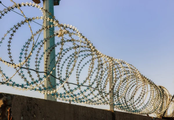 Barbed wire — Stock Photo, Image