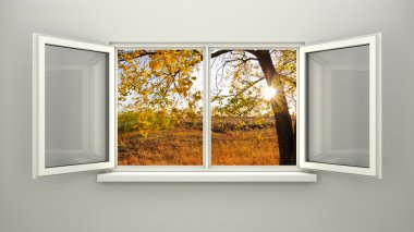 sonbahar penceresine