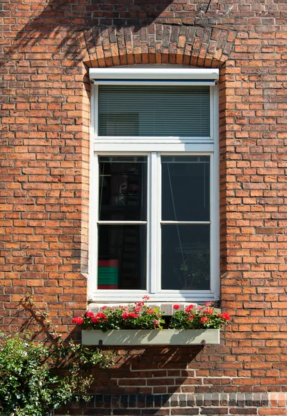 Brick wall with windows — Stock Photo, Image