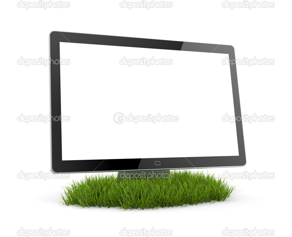 Computer Monitor in grass