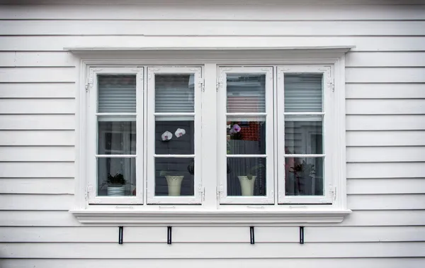 Ventanas con flores — Foto de Stock