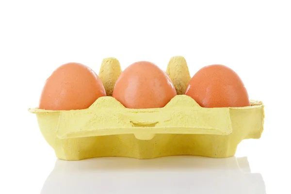 Κοτόπουλο αυγά στο κιβώτιο χαρτοκιβωτίων — Φωτογραφία Αρχείου