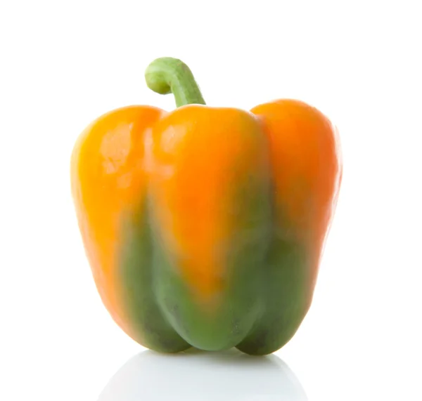 Colorful paprika vegetable — Stock Photo, Image