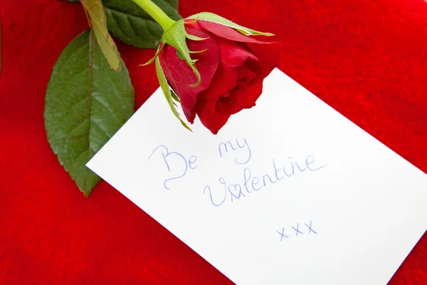 Romantic note: Be my valentine red rose — Stock Photo, Image