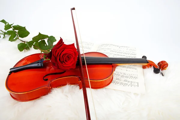 Violín con música y rosa roja — Foto de Stock