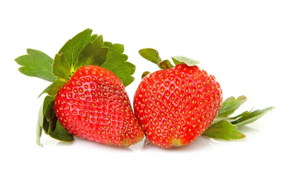 Zwei große frische Erdbeeren — Stockfoto