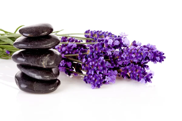 Stacked black pebbles stones and lavender flowers — Stock Photo, Image