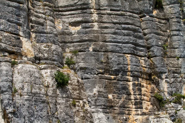 Grey mountain wall in closeup — Stock Photo, Image