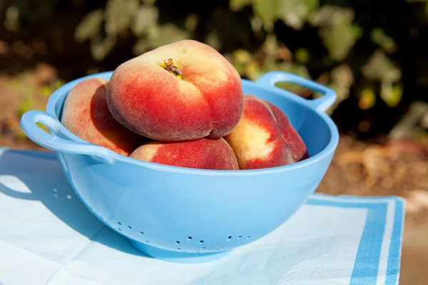 Frische Pfirsiche im blauen Sieb — Stockfoto