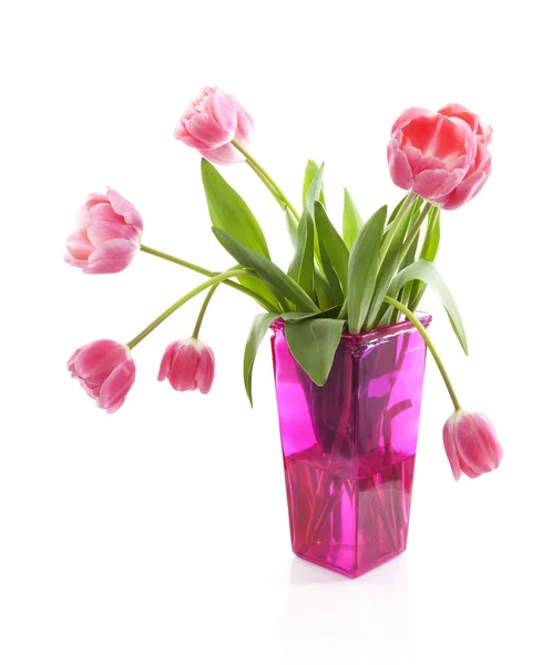 Tulipani olandesi in vaso rosa su sfondo bianco — Foto Stock