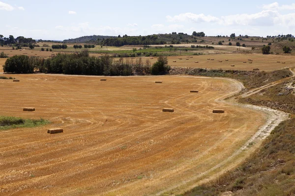 Hö fält i södra Frankrike — Stockfoto