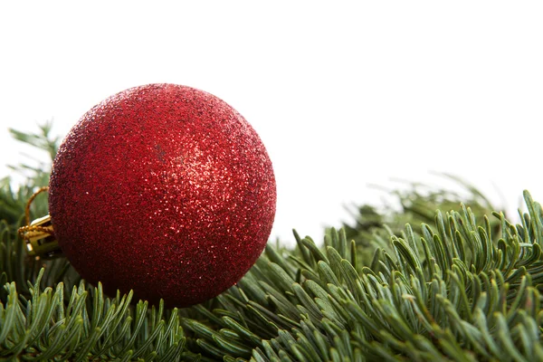 Červená vánoční koule na borovici — Stock fotografie