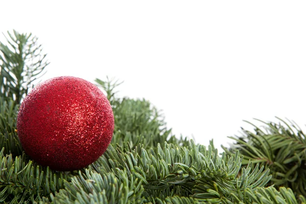 Bola de Natal vermelho no pinheiro — Fotografia de Stock