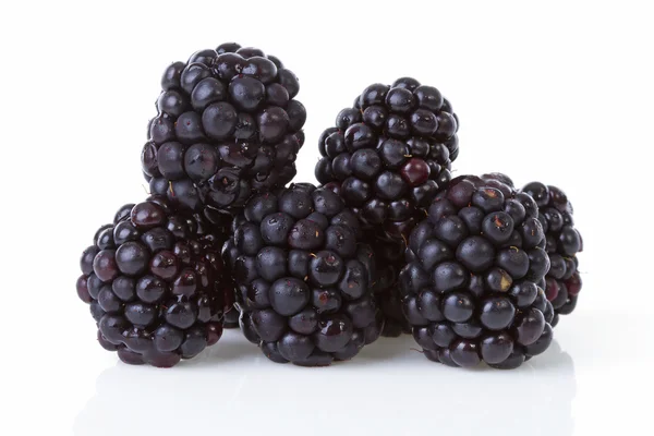 Macro de blackberries pilha sobre fundo branco — Fotografia de Stock
