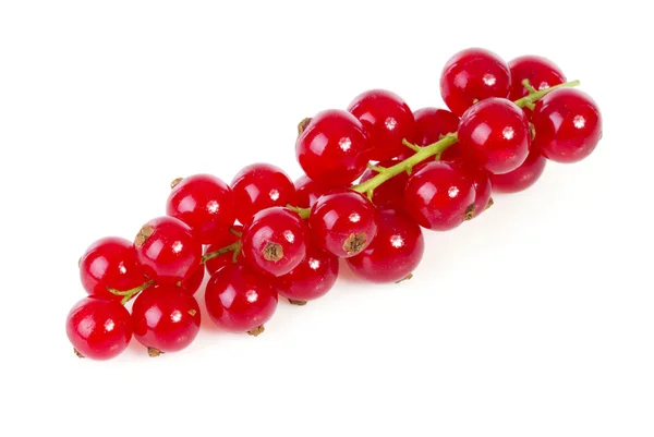 Fresh red currant berries fruit over white background — Stock Photo, Image