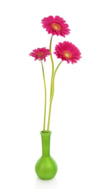 Yeşil vazoda üç pembe gerber çiçekler