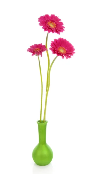 Três flores cor-de-rosa Gerber em vaso verde — Fotografia de Stock
