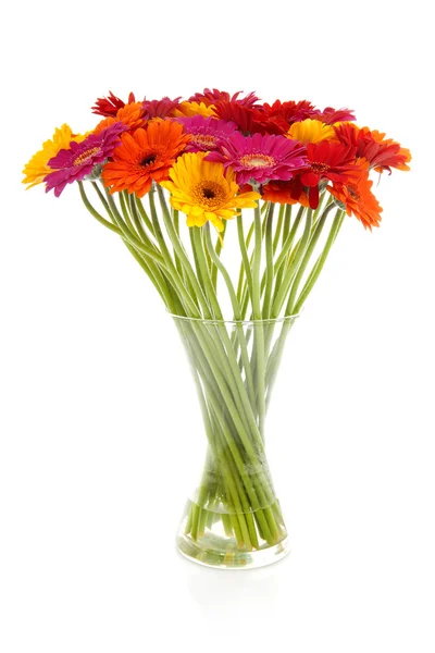 Colorful bouquet of Gerber flowers — Stock Photo, Image
