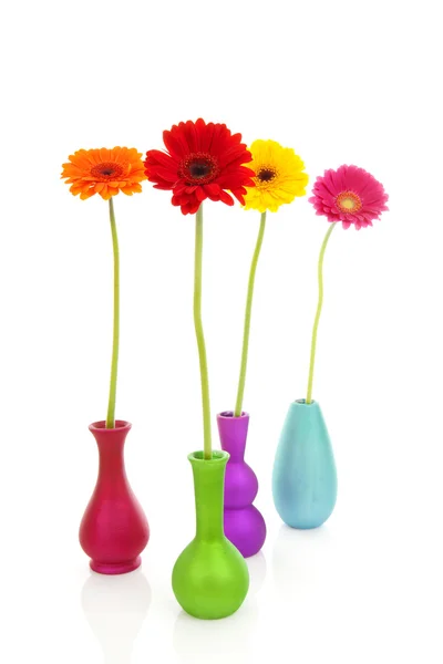 Four Gerber flowers in colorful vases — Stock Photo, Image