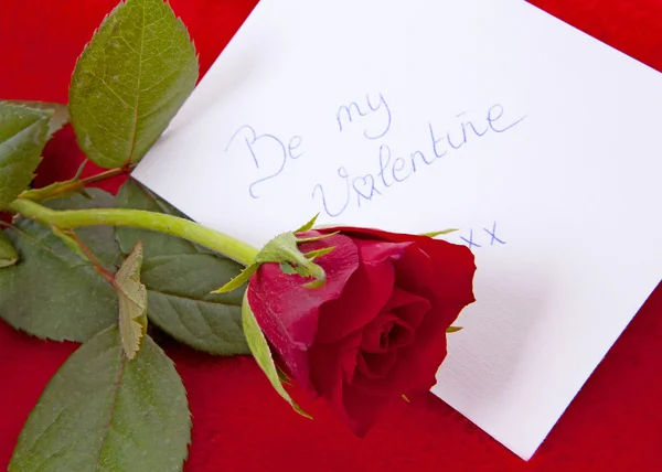 Card and rose for Valentines — Stock Photo, Image