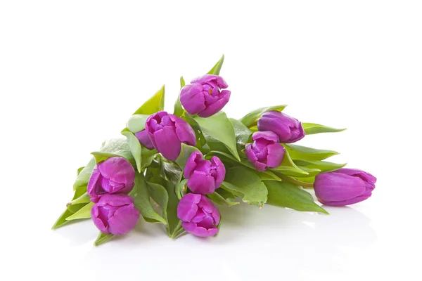 Bouquet di tulipani rosa olandesi — Foto Stock