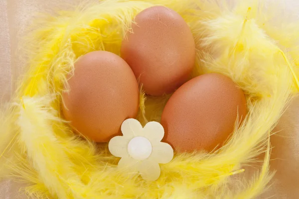 Huevo de pollo decorado para Pascua en plumas amarillas — Foto de Stock