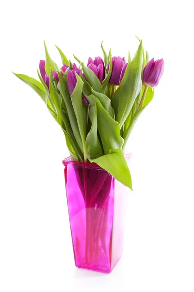핑크 네덜란드 튤립 꽃병 — 스톡 사진