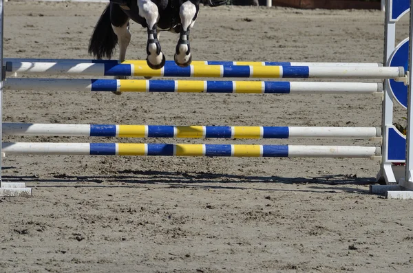 Cheval sautant par-dessus la barrière — Photo