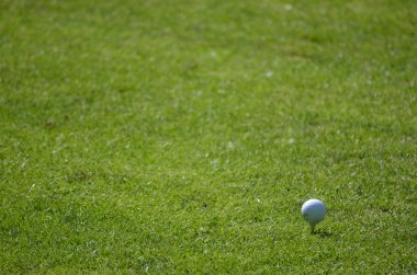 Golf topu ve çim