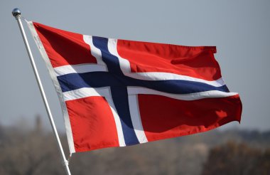 Norveç Bayrağı